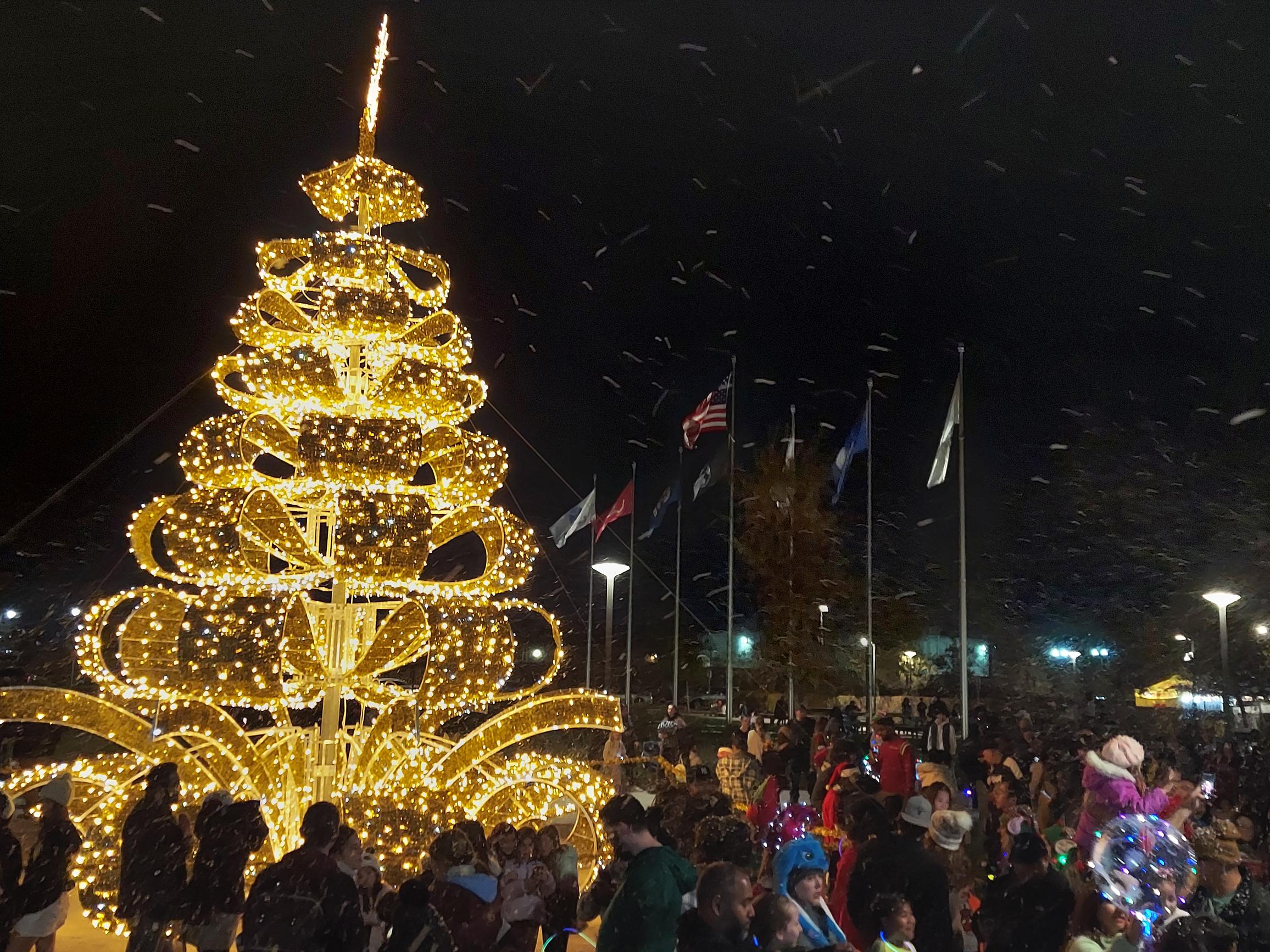 Ribbon Tree