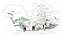 an elevation in a hand-drawn style showing guests viewing colobus