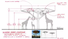 an elevation in a hand-drawn style showing how the feeding structure will look