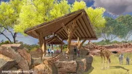 rendering of a giraffe feeding area 